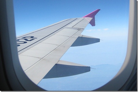 IMG_0145tori IMG_0145tori