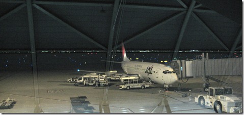 IMG_0225tori IMG_0225tori