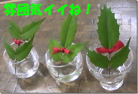 PIC_0053ヒイラギ