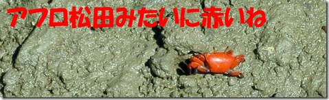 IMG_0133　赤いカニ