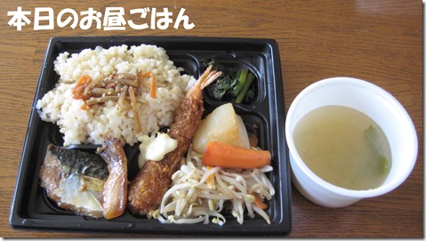 IMG_1196tori昼ご飯