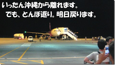 IMG_1220とんぼ返り