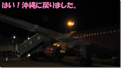 IMG_1230　沖縄に戻った