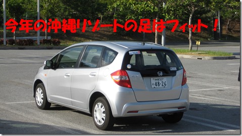 IMG_1393フィット