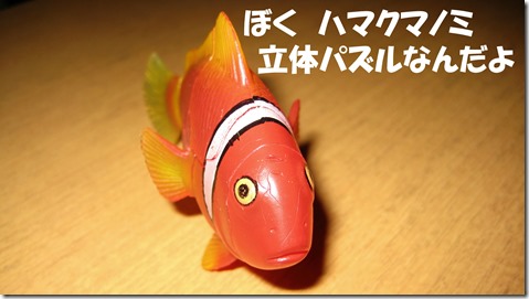 IMG_1413　クマノミ