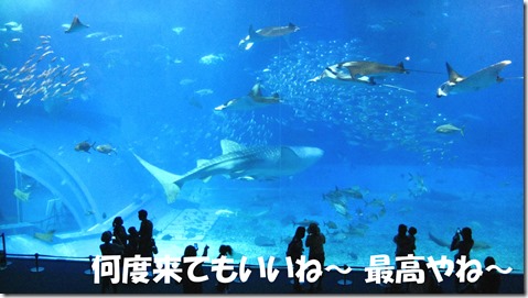 IMG_1435　大水槽
