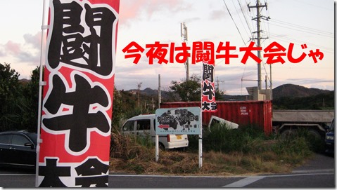 IMG_1503　闘牛のぼり