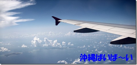IMG_1594沖縄ばいばい