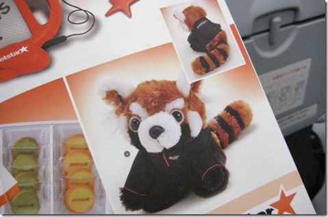 IMG_1388ジェッタ君 IMG_1388ジェッタ君