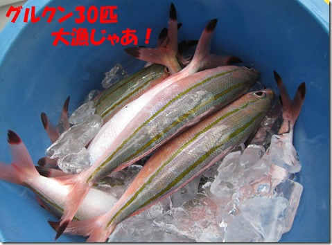 IMG_0572グルクン30匹