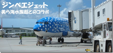 IMG_0607ジンベエ