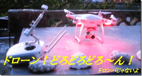 IMG_2086ドローン　ドロンパ