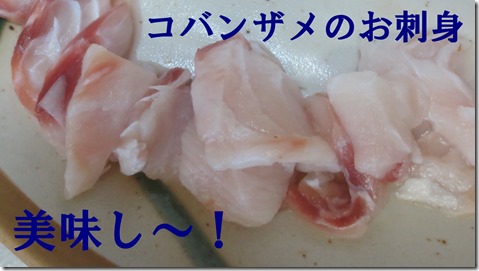 コバンザメ　刺身