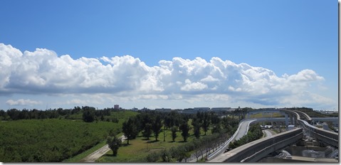 IMG_0799とり IMG_0799とり