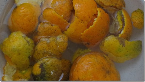 IMG_0830たんかん皮 IMG_0830たんかん皮