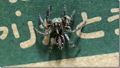 SPI対策予備校　アフロ松田　SPI　テストセンター　WEBテスト