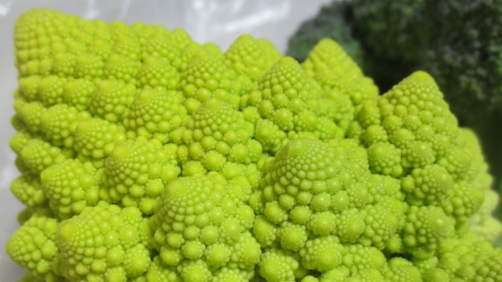 SPI対策予備校
アフロ松田
松田佳久
農業大学校